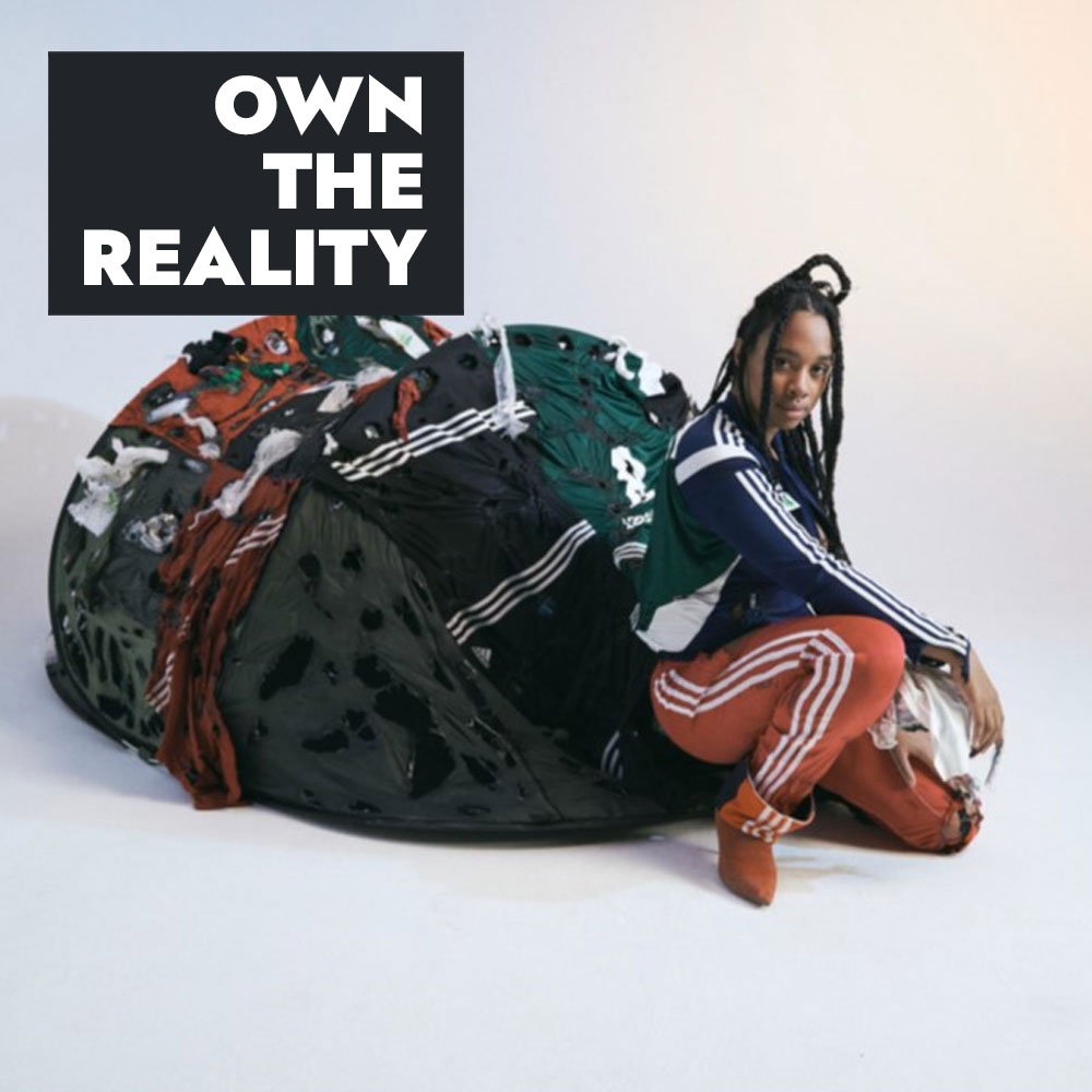 OWN THE REALITY